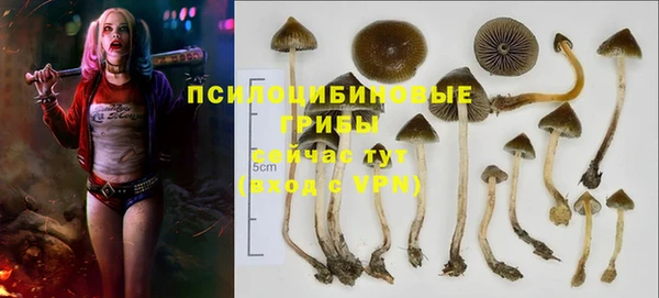 сатива Баксан