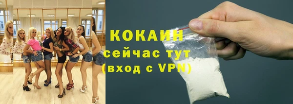 сатива Баксан