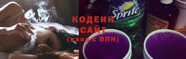 прущие грибы Пересвет