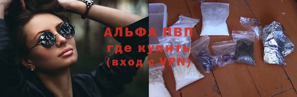 сатива Баксан