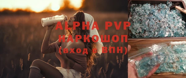 прущие грибы Пересвет
